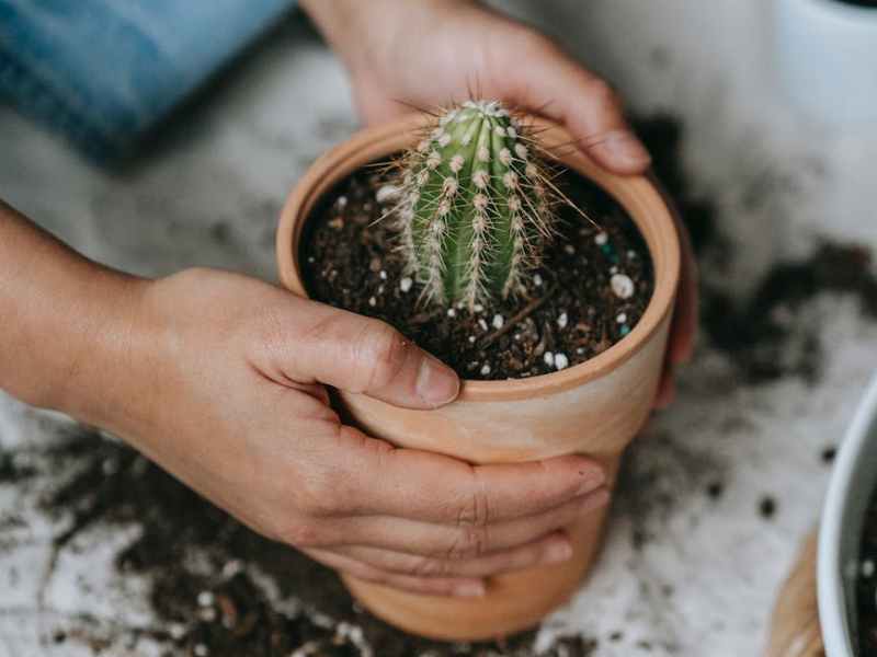 A (Spring) Break from Screens and Writing